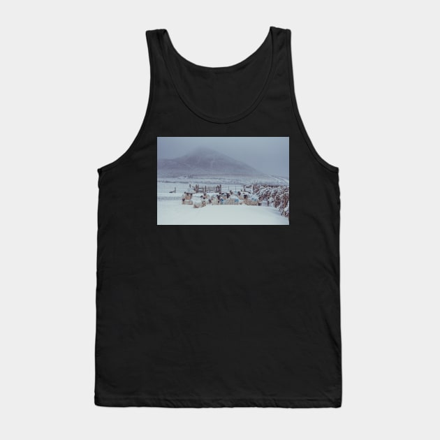 Sugar Loaf Sheep Tank Top by shaymurphy